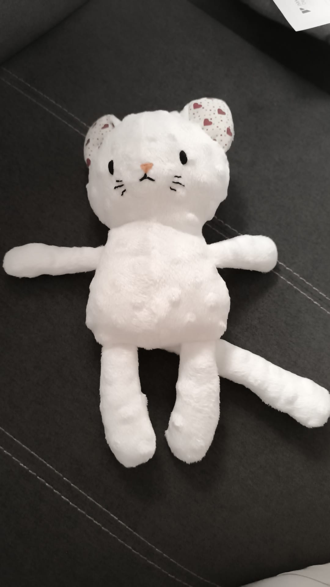 gatito1-mik